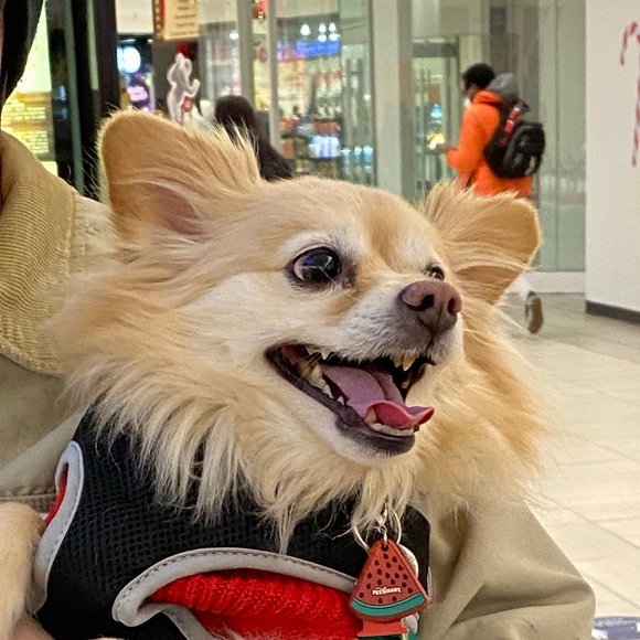 Meet your Posher, Ashlyn - Picture 7 of 10